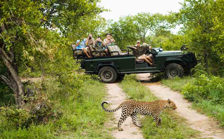 Safari in Kruger Park