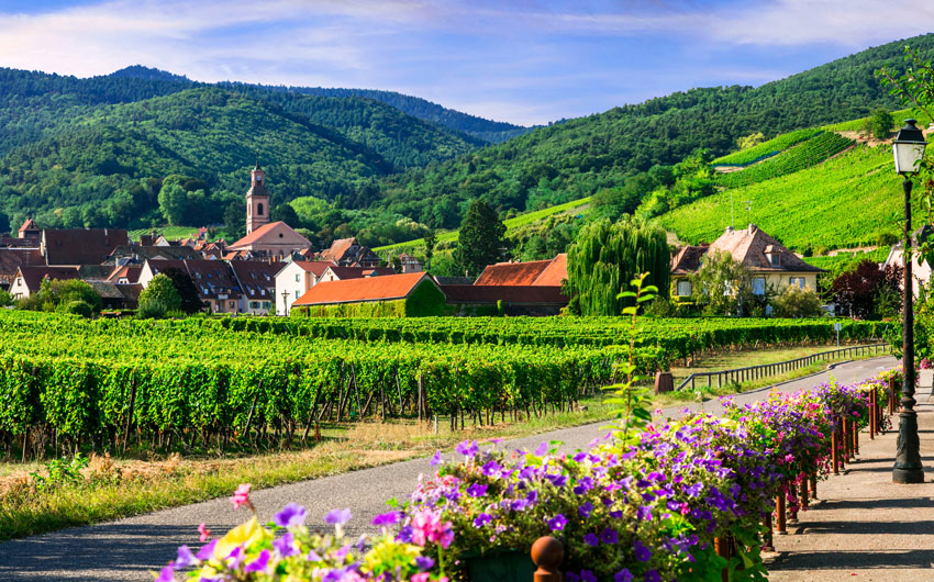  Alsace region, Wine Route