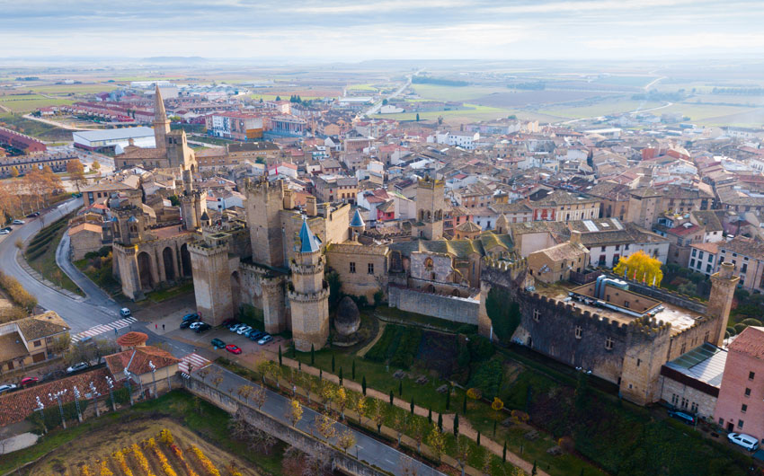  Aerial view of Royal Palace of Olite