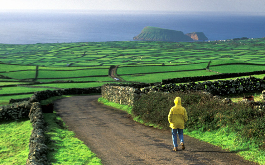 Down Hill with Lush Green Fields, Terceira