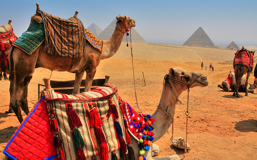 Memorable Egypt 