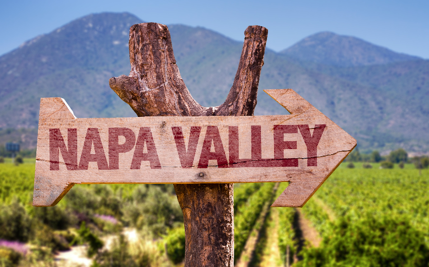 A taste of life in Napa Valley 