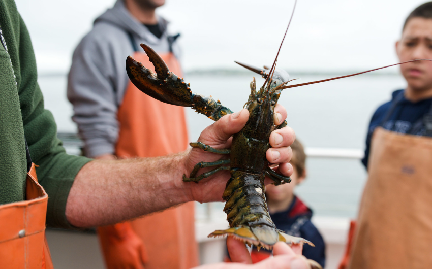 Lobstering and hiking in Maine