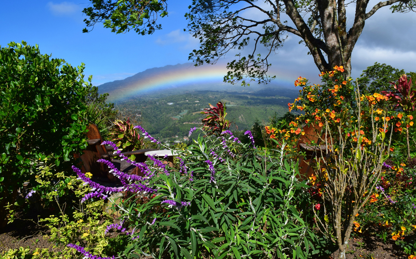 Natural rainbows of Boquete