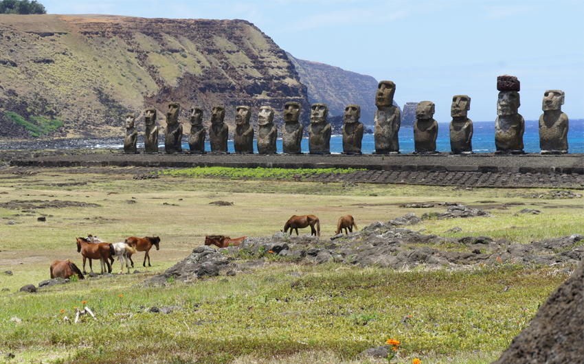 Moai statues in Easter Island, horses near