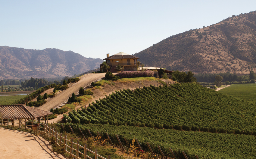 View from the Santa Cruz vineyard in Santa Cruz Valley 