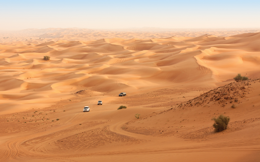 Desert Oasis 