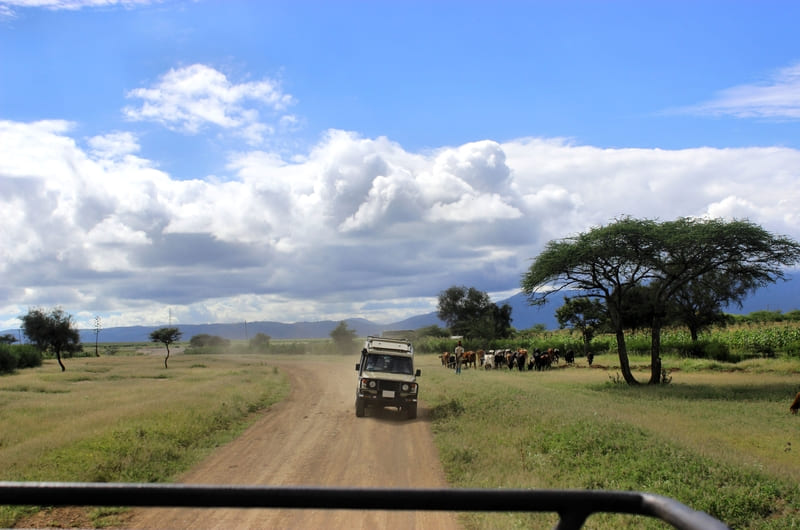 KRUGER NATIONAL PARK (PRIVATE RESERVE IN THE GREATER KRUGER PARK AREA)