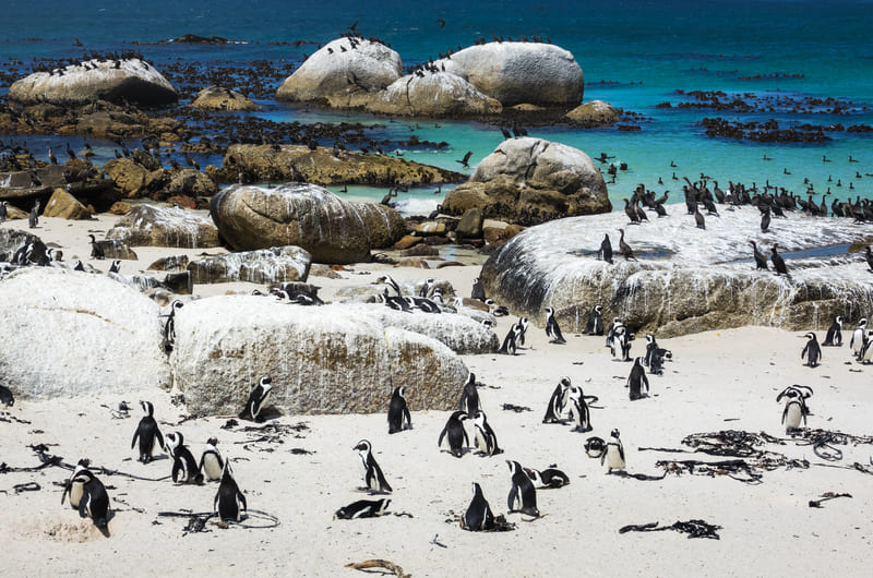 CAPE TOWN