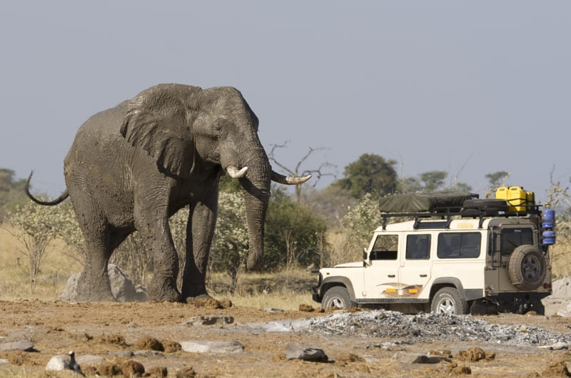 CHOBE