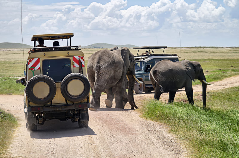 Amboseli