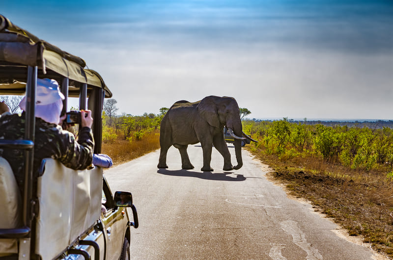 JOHANNESBURG I KRUGER NATIONAL PARK