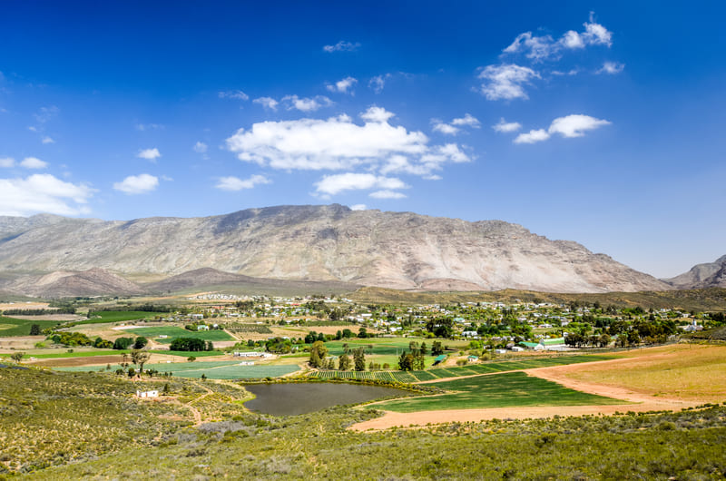 Wednesday - Oudtshoorn I Cape Town